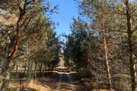 Parduodamas sklypas Kauno raj., Zapyškio sen., Krušinskų k.