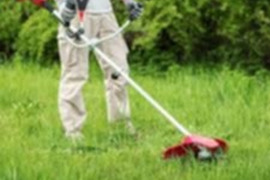 Žolės pjovimas aplinkos priežiura,medžiu pjovimas