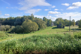 65.47 a sklypas Lazdijų r. sav., Petroškai, Lapūko g.