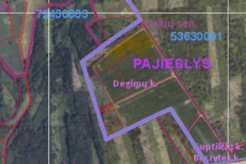 Žemės ūkio paskirties sklypas