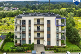 3 kamb. butas Vilnius, Antakalnio sen., Duburio g.