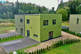 Kauno r. sav., Vaišvydava, Liepų al.
