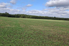 160.0 a sklypas Kauno r. sav., Viršužiglis