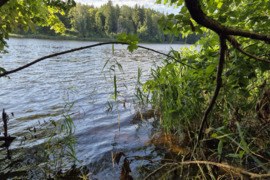 123.84 a sklypas Raseinių r. sav., Paliūnė