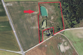 379.80 a sklypas Panevėžio r. sav., Stanioniai