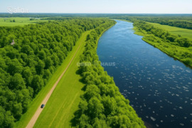 525.79 a sklypas Šakių r. sav., Žemoji Panemunė