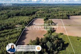 650 a sklypas Kelmės r. sav.