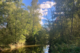 3200 a sklypas Rokiškio r. sav., Gučiūnai