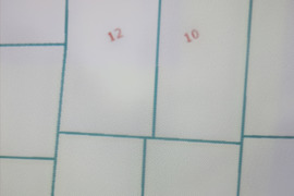 10.8 a sklypas Vilniaus r. sav., Didžioji Riešė, Rasų g.