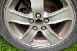 - Kitas - , Lieti ratlankiai, R-16