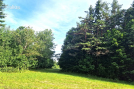 Plungės r. sav., Babrungėnai