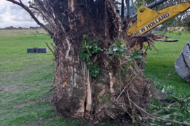 Kasimo darbai Alytaus apsritis