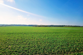 39 a sklypas Prienų r. sav., Šaltupis