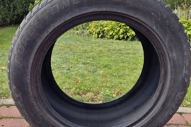 Roadstone Winguard, Žieminės padangos