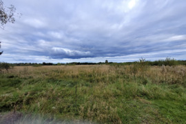 Parduodamas 146,15 arų žemės ūkio paskirties sklypas Reivyčiuose, Mažeikių r.