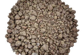 Rapso, Saulėgražų, Sojų išspaudos, kukurūzų Ddgs