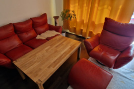 Natūralios odos sofa su foteliu