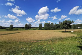 650 a sklypas Utenos r. sav., Paisetė I, Labanoro g.