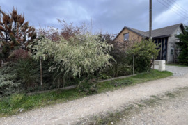 Parduodamas sklypas su sodo namo pamatais