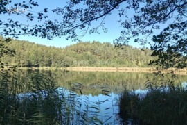 Druskininkų sav., Gailiūnai, Trūkiškio g.