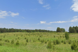 Investicinis sklypas Pašiliuose 7,75ha