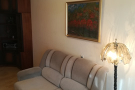 Tvarkingas 2 kambarių butas Dainavos rajone