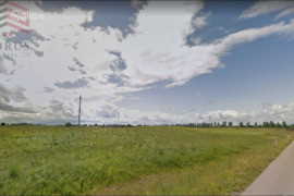 Parduodamas žemės ūkio paskirties sklypas Vilniaus r. sav. Daukščių k.