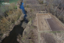 Parduodamas sklypas ribojasi su Šešupės upės pakrante.