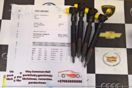 Kuro purkštukai Mercedes-C250. 28308779 