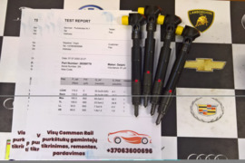 Kuro purkštukai Mercedes-E220. 28308779 