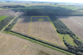 Parduodamas 4,31 ha sklypas Kauno r., Taurakiemio sen., Vyčiaus k.