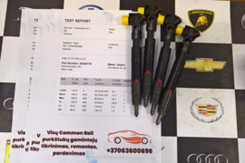 Kuro purkštukai Mercedes-ML250. 28308779 