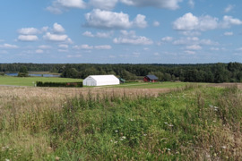 9 ha. Rokiškio r. Kamajų sen. Nemeniūnų k. Žemės ūkio paskirties žemė