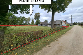 22 a sklypas Telšių r. sav., Tryškiai, Virvytės g.