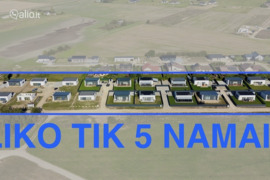 Kėdainių r. sav., Janušava, Naujakurių g.