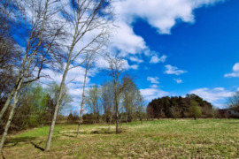 8,95 aro sklypas (yra ir kitų plotų) Kaune, Romainiai, E. Volterio g. KAINA: 107000 €