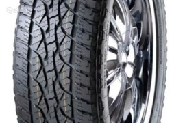 Winrun Maxclaw A/T 255/55R19 111V XL, Vasarinės padangos
