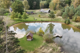 Vienkiemis miške 10ha, tvenkinys, ,,Žaliosios