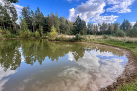 Vienkiemis miške 10ha, tvenkinys, ,,Žaliosios