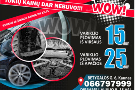 Automobilių plovykla variklių plovimas