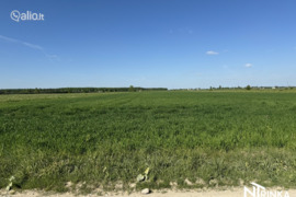 111.68 a sklypas Šiaulių r. sav., Šapnagiai