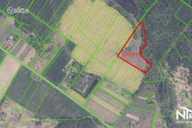 269.0 a sklypas Šiaulių r. sav., Bulėnai