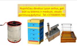 Parduodu bičių motinėles, bičių šeimas su aviliais. Perku oksalo garintuvą