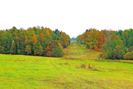 Zarasų r. sav., Juodenių k., žemės ūkio, miškų ūkio paskirties sklypas