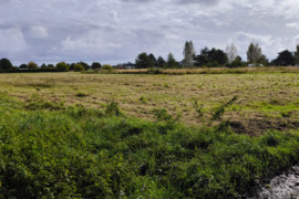 10 a sklypas Palanga, Palanga, Didžioji g.