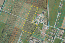 PARDUODAMAS PUIKUS ŽEMĖS SKLYPAS 1,68 ha.