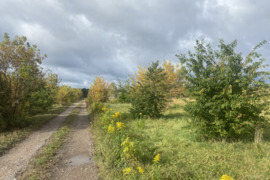16.92 a sklypas Druskininkų sav., Neravai, Dvarlaukio g.
