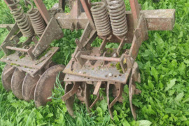 Lėkštinis skutikas, Lėkštiniai skutikai