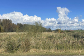 Parduodamas 3,89 ha žemės ūkio paskirties sklypas Vinkšnėnų kaime, Šiaulių rajone.