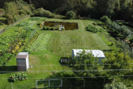  Parduodamas Šiaulių r. sav., Linartų k., Pušyno g., sodo sklypas